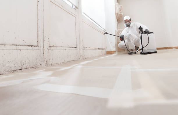 24/7 Emergency Mold Remediation experts in Deer Park, IL
