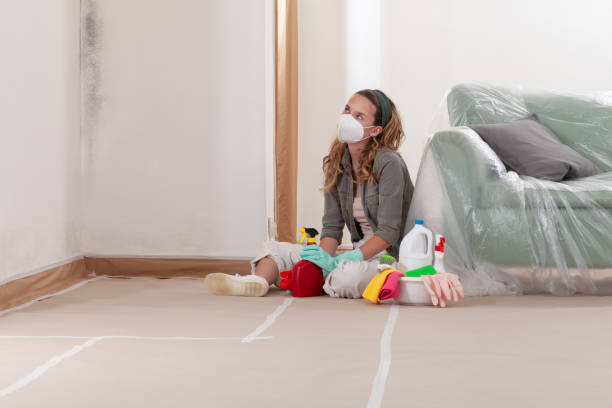 Reliable Mold Remediation contractor in Deer Park, IL by 24 Hour Mold Removal